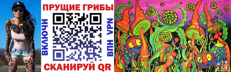omg ссылка  Новоржев  Псилоцибиновые грибы ЛСД  купить  сайты 
